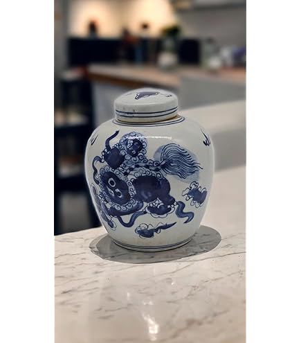 Amazon.com: 藍白瓷花陶瓷蓋罐花瓶,中國明風,景德鎮中國(藍花